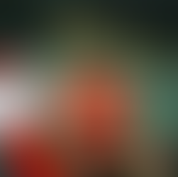 Super-Advents-Samstag bei Selgros