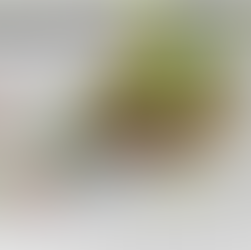 Slow-Food-Tag 2025: „Gut, sauber, fair“ – Unsere Region feiert bewusst