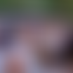 Sommermusik am Wasser: Klezmer trifft Swing in der Uferzone Moritzburg