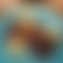 Schmidt´s empfiehlt zum Fest - Weihnachtsente!