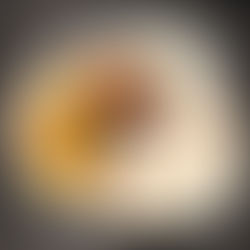 Kobers Chiaveri - Unsere neue Tageskarte für diese Woche!