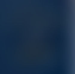 Das Martingsgansessen im Kobalt - Jährlich zelebrieren wir den Brauch an Sankt Martin