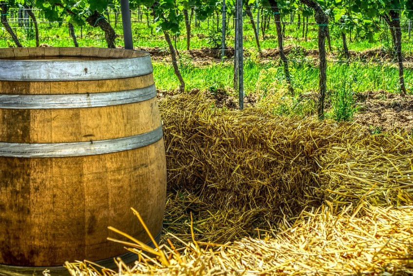 Wohin in Dresden und Umgebung - Herbst- und Weinfest Pesterwitz