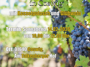 🌿 Rebschnittlehrgang 2026 – Praxis und Genuss in den Weinbergen von Radebeul