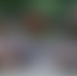 Saisonstart am Weißen Hirsch: Konzertplatz eröffnet mit Märkten, Weinabenden und Familienprogram