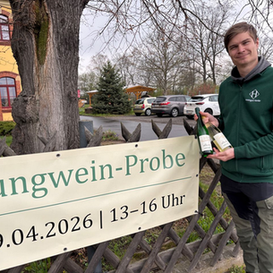 Jungweinprobe im Weingut Henke: Neuer Jahrgang 2025 in Coswig-Sörnewitz vorgestellt