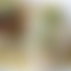 METRO Dresden empfiehlt - Jetzt in Frische Genusswelten eintauchen!