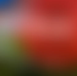 Aller Spiele in unserem Bierhaus Dampfschiff