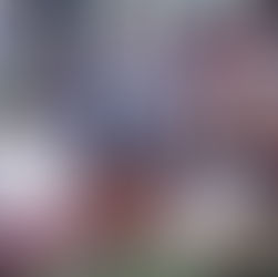 Straßenfest am Sonnabend: Prießnitzallee