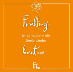 Dein Felix im lebedingen Haus Dresden wieder geöffnet!