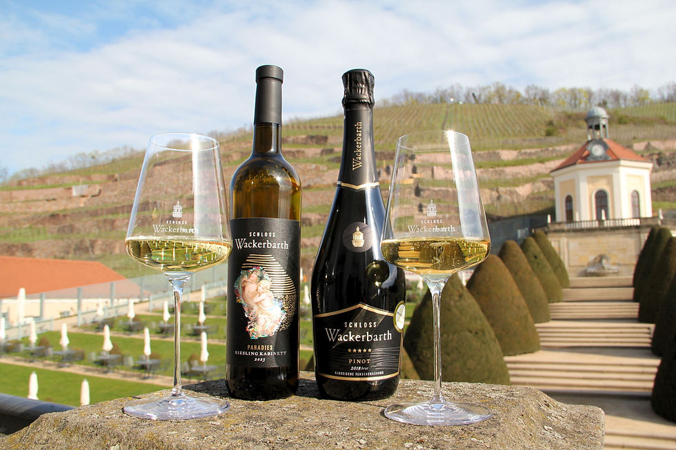 Doppeltes Gold für Schlos Wackerbarth bei der Mundus Vini Frühjahrsverkostung