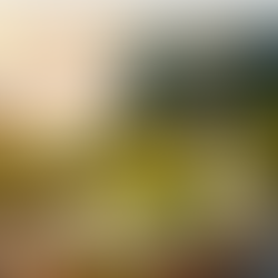 Winzer Dip von Zaffaran – Herbstaroma aus der Gewürzmanufaktur