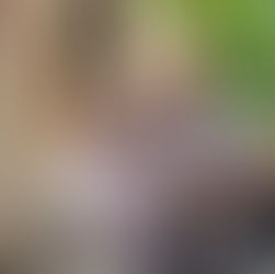 Ein Jubiläum mit Abschiedsgedanken - Winzerstube "Zum Rebstock"!