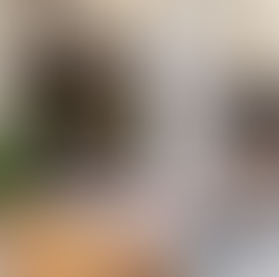 Laden Cafe Aha - Advents- und Weihnachtsmenüs!