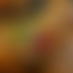 Exzellente Vietnamese Kitchen"Pho Mum"!