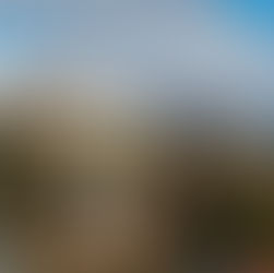 Sonnenschein, feine Speisen und beste Aussicht gibt's im Luisenhof Dresden!