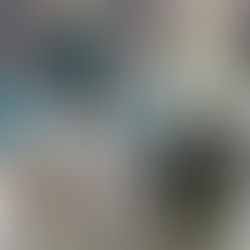 Weingut Vincenz Richter - Bag in Box!