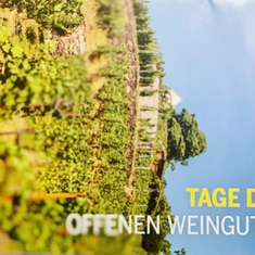 Gräfe’s Wein & Fein - Die Tage des offenen Weinguts werden feucht-fröhlich!