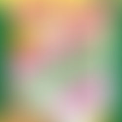 Sächsisch-Böhmischer Bauernmarkt - diesjährig letzter Monatsmarkt am 06. und 07.11.2021