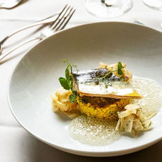 Feine Küche trifft feine Kultur: Marcel Spahn begeistert im Palais-Restaurant des Kempinski Dresden