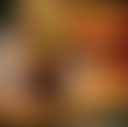 Immer wieder ein Genuss unser Highländer Burger im Platzhirsch Pirna!