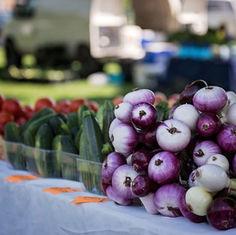 16.04.2023 - Wilsdruffer Frühjahrsbauernmarkt auf dem Marktplatz!