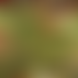 #retteLebensmittelOnline - Vortrag zeigt Wege gegen das Verschwenden von Lebensmitteln auf