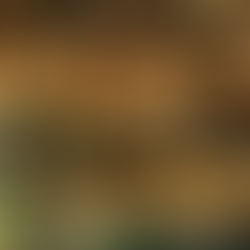 Weltbienentag am 20. Mai 2021