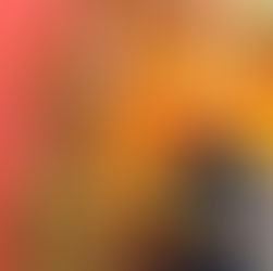 Delphin Donuts Dresden auch mit veganen Donuts am Start!