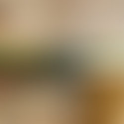 Neue Impulse auf der Prager Straße: Die Bar im Occidental Dresden Newa startet mit frischem Konzept