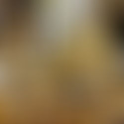 Hauseigener Heidehonig jetzt wieder im Historischen Fischhaus erhältlich!