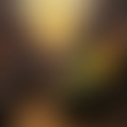 Exotisch und idyllisch - Das Pho Mum Restaurant!