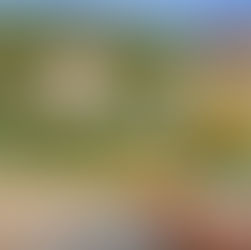 Federweißerfest auf Schloss Wackerbarth