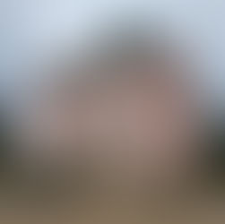 Ein königlicher Rückzugsort: Das Fasanenschlösschen Moritzburg