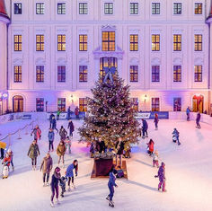 Idyllisch beleuchtet und weihnachtlich dekoriert - Die Eisbahn im Taschenbergpalais!