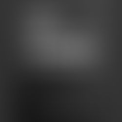 15.06.2023 - Lange Nacht der Galerien im Dresdner Barockviertel!