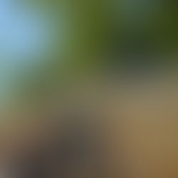 Entdeckt: Cafe Jähnig-Eis im Bootshaus am Carolasee im Großen Garten