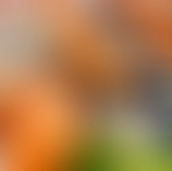 Kleine Party oder unerwarteter Besuch?