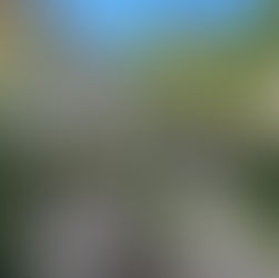 Zu Gast im Historischen Fischhaus