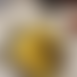 Delizia Ristorante & Weinbar Dresden - Lecker Pasta mit frischem Trüffel und frische Pfifferlinge!