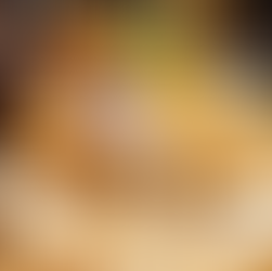 Steinpilz-Zeit im Historischen Fischhaus Dresden