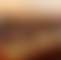 Festlicher Adventsbrunch im Pulverturm – Weihnachtszauber unter der Frauenkirche