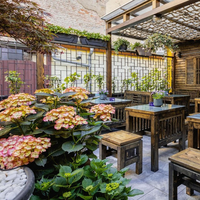 Pho Mum - Seid ihr bereit für den Frühling?