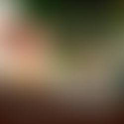 Kasematten Festung Königstein - Deftige Jobs im Bereich Service und Verkauf!