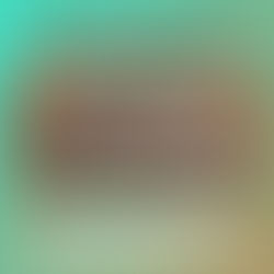 Sommerclosing im Restaurant Genuss am Hafen Nr13