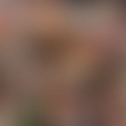 Echte chinesische Küche erlebst du bei Miss Zhao's Kitchen!