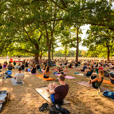 Yoga im Alaunpark