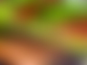 Lammspieße in der Frischetheke des Ocakbasi