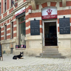 Die Magic-Bar zieht aus, von Aufhören ist jedoch keine Rede!