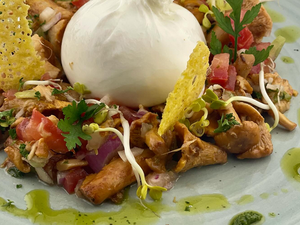 Sommergenuss in Possendorf: Pfifferlinge, Burrata & Co. im Restaurant Ferdinand